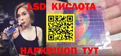 a pvp Новозыбков
