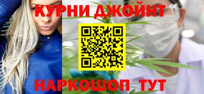 a pvp Новозыбков