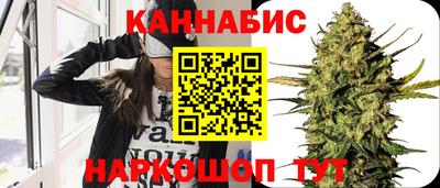 a pvp Новозыбков
