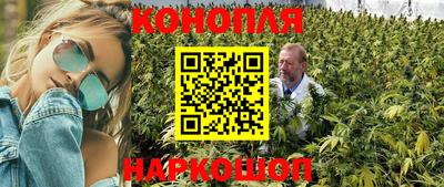 a pvp Новодвинск