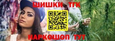 a pvp Новозыбков