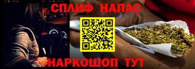 a pvp Новозыбков