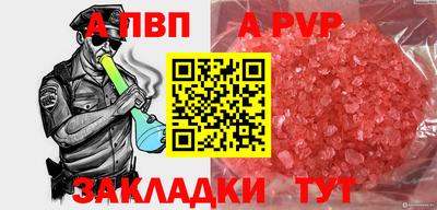 a pvp Новозыбков