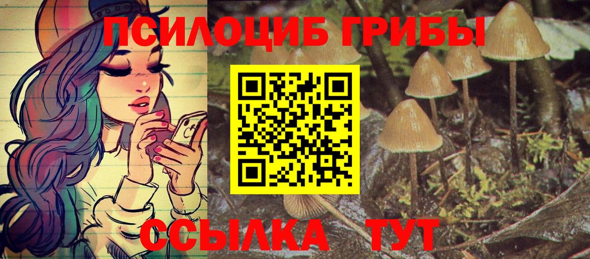 Галлюциногенные грибы Magic Shrooms Севастополь